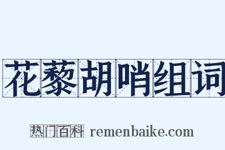 花藜胡哨组词是什么意思的图片